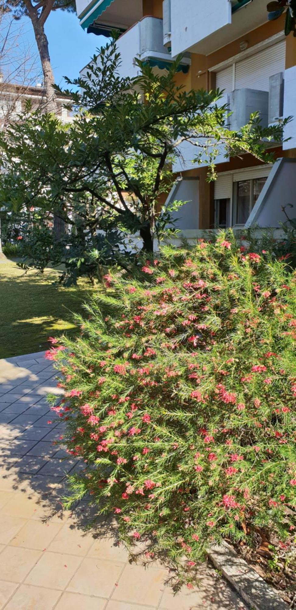 Versilia Apartment Forte dei Marmi Luaran gambar