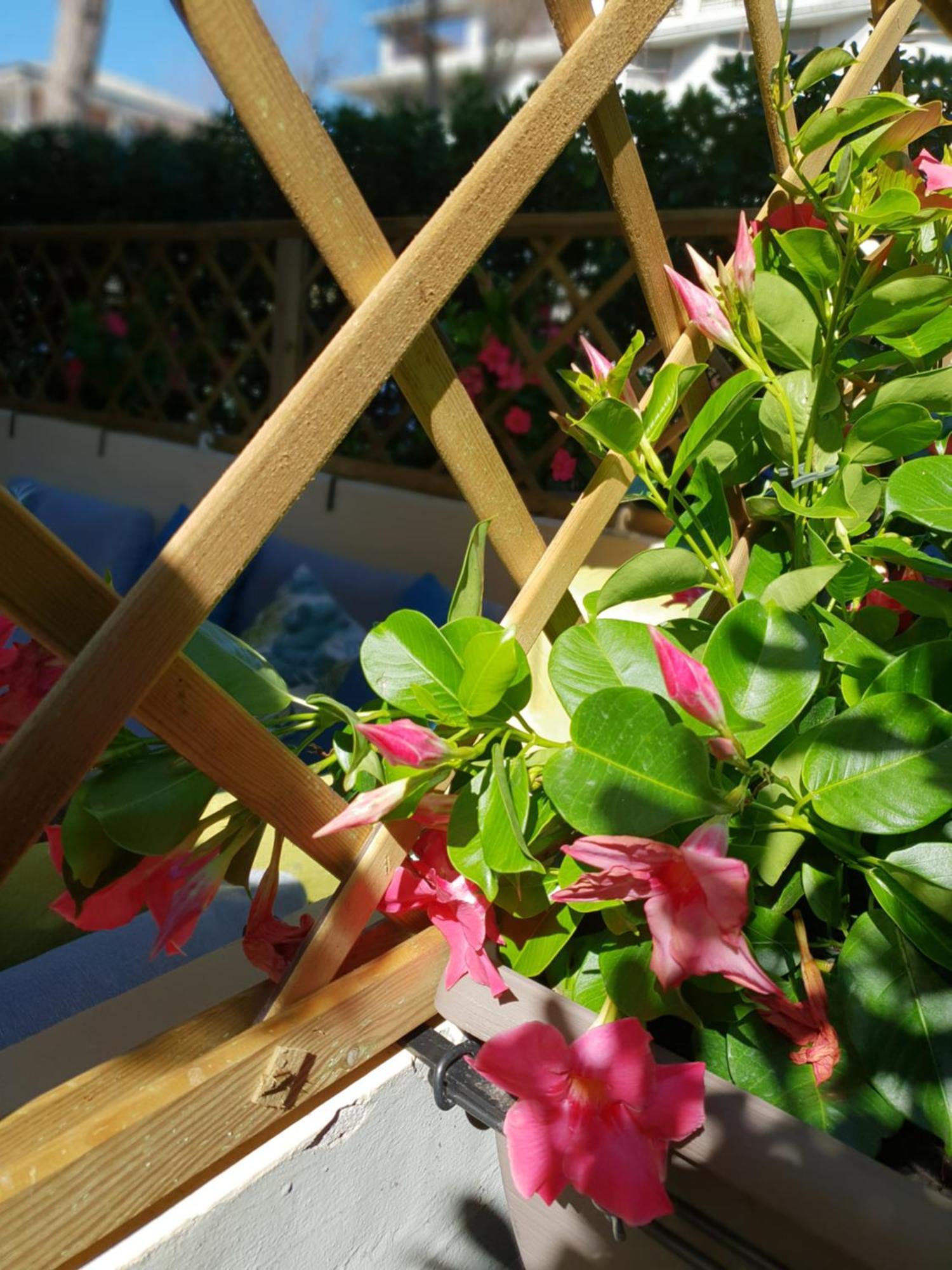 Versilia Apartment Forte dei Marmi Luaran gambar